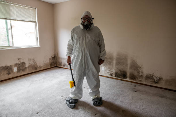 Best Mold Remediation for Healthcare Facilities  in Charlotte Park, FL